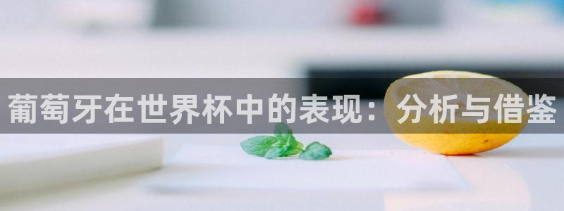 2026世界杯德国队阵容：葡萄牙在世界杯中的表现：分析与借鉴