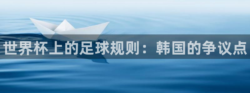 2026男足世界杯：世界杯上的足球规则：韩国的争议点