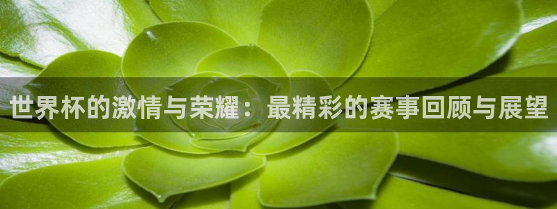 世界杯直播平台:世界杯的激情与荣耀:最精彩的赛事回顾与展望