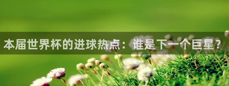 2026世界杯日期:本届世界杯的进球热点:谁是下一个巨星?