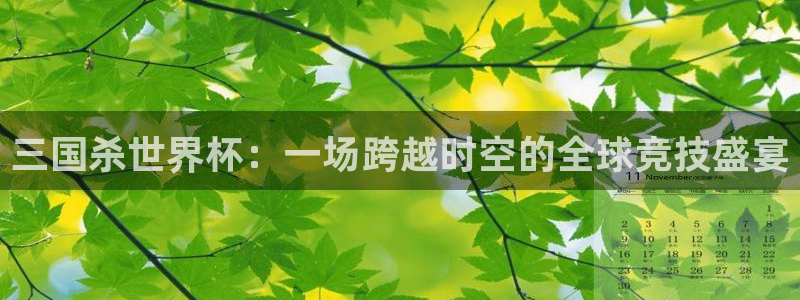 2026世界杯32强对阵图表：三国杀世界杯：一场跨越时空的全球竞技盛宴