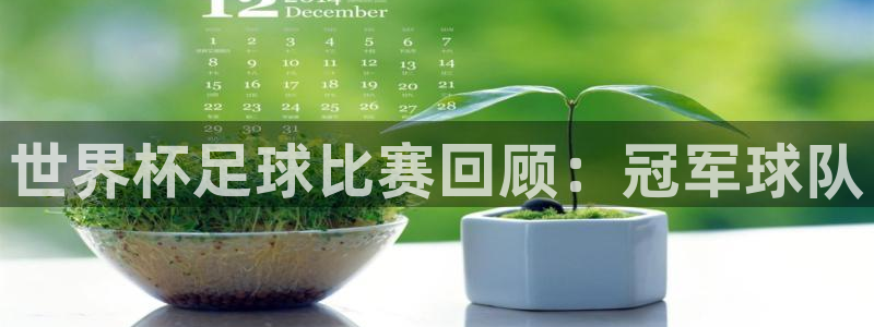 2026年世界杯：世界杯足球比赛回顾：冠军球队