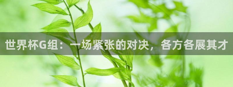 欧洲世界杯预选赛赛程：世界杯G组：一场紧张的对决，各方各展其才