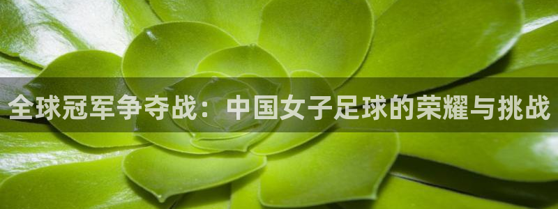 世界杯亚洲区预选赛赛程：全球冠军争夺战：中国女子足球的荣耀与挑战