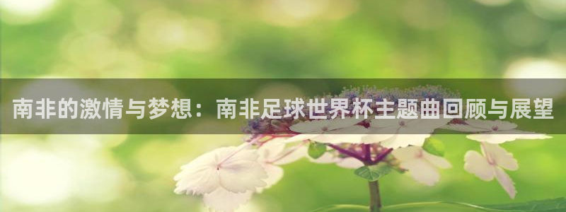 世界杯时间：南非的激情与梦想：南非足球世界杯主题曲回顾与展望
