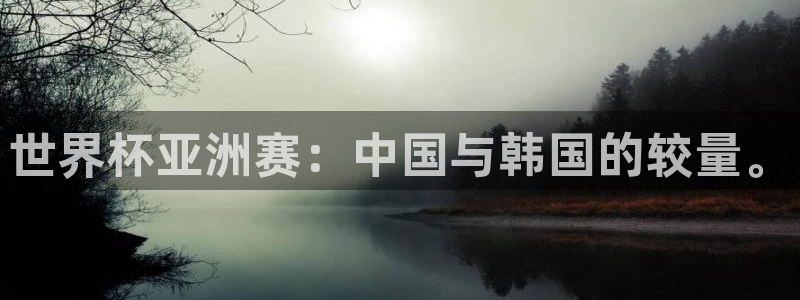 亚洲杯比赛直播：世界杯亚洲赛：中国与韩国的较量。