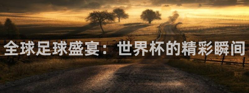 世界杯预选赛亚洲区积分榜：全球足球盛宴：世界杯的精彩瞬间