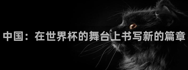 2026世界杯官网入口：中国：在世界杯的舞台上书写新的篇章