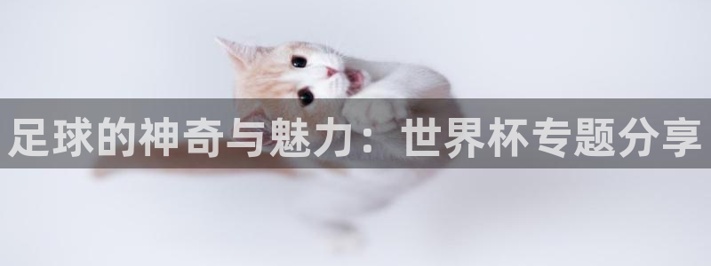 2026世界杯赛程：足球的神奇与魅力：世界杯专题分享