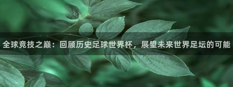 世界杯比赛：全球竞技之巅：回顾历史足球世界杯，展望未来世界足坛的可能
